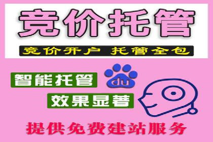 企业推广秘籍：百度竞价代理成功案例分析